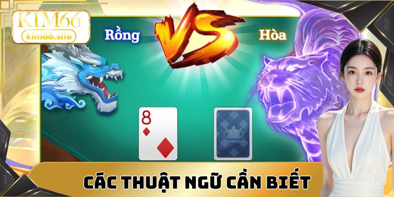 Các thuật ngữ cần biết khi chơi dragon tiger