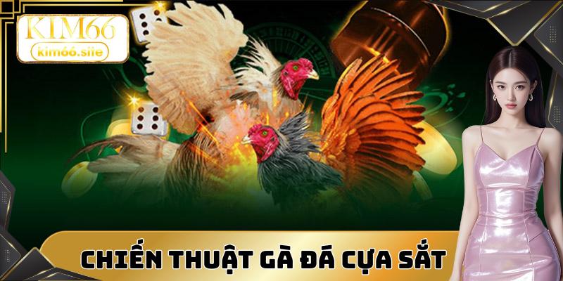 Chiến thuật tấn công trực diện, đấu gà cựa sắt hiệu quả