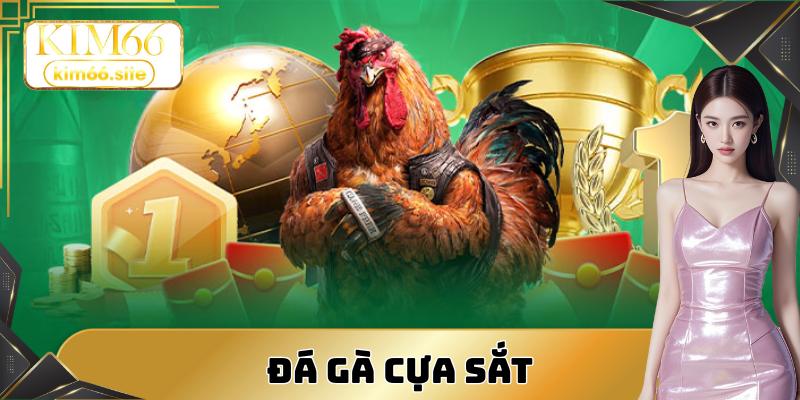 Đá gà cựa sắt