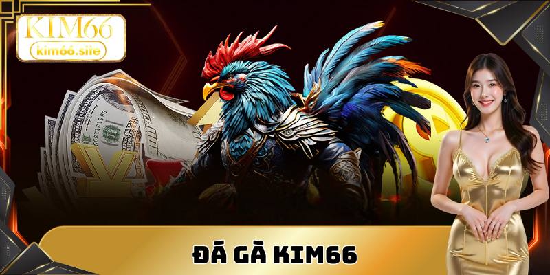 Đá gà Kim66