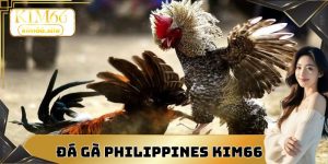 Đá gà philippines
