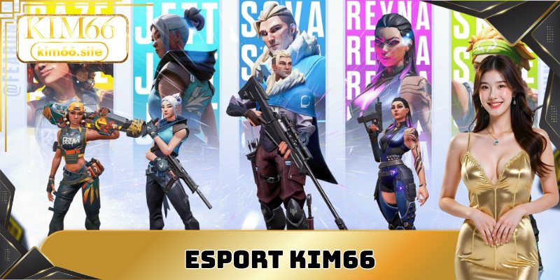 Esport Kim66
