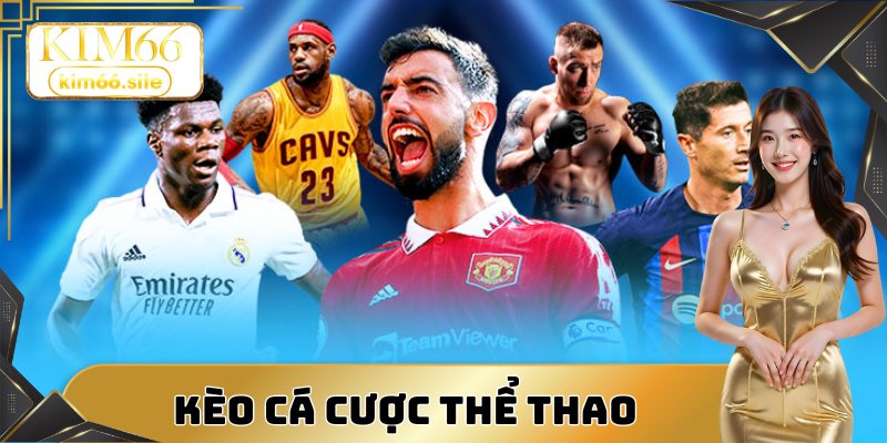 Hệ thống kèo cược thể thao nhà cái đang triển khai