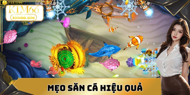 Mẹo săn cá hiệu quả giúp tăng tỷ lệ thắng