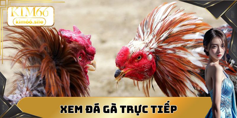 Người chơi có thể xem trực tiếp hoặc theo dõi online