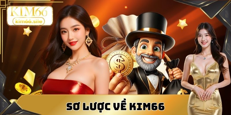 Sơ lược về Kim66