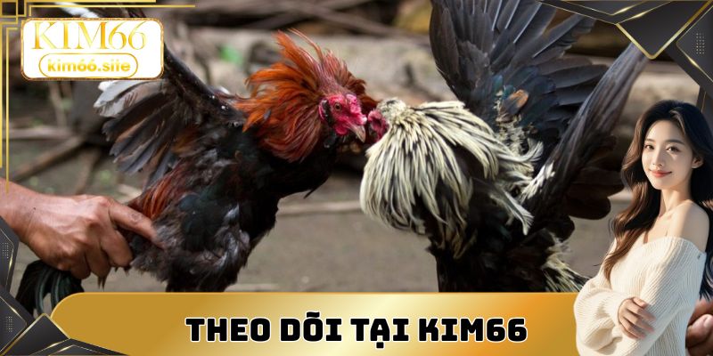 Theo dõi trực tuyến tại Kim66 nhanh, mượt